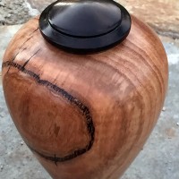 Messmate Lidded Container